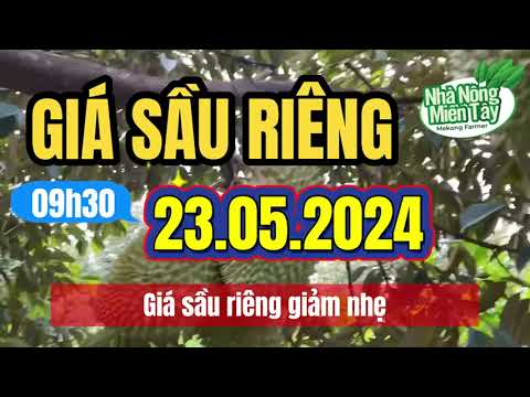 Vietnam durian prices May 22, 2024