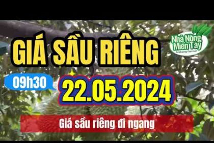 Vietnam durian prices May 22, 2024