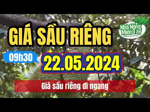 Vietnam durian prices May 22, 2024
