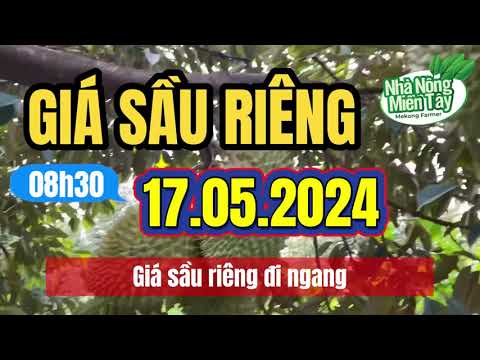 Vietnam durian prices May 17, 2024