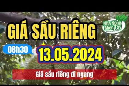 Vietnam durian prices May 13, 2024
