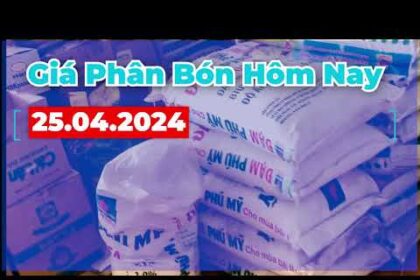 Vietnam fertilizer prices April 25, 2024