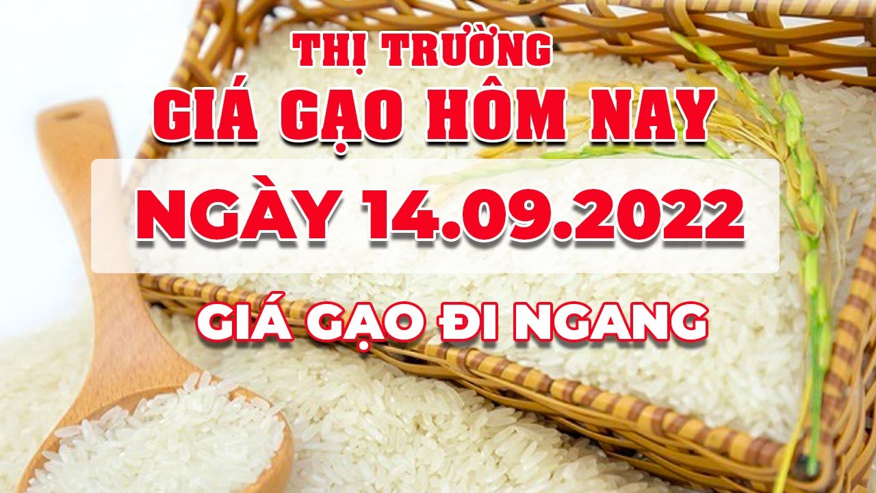 rice and paddy prices today