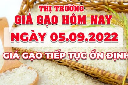 rice and paddy prices today