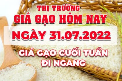 rice and paddy prices today