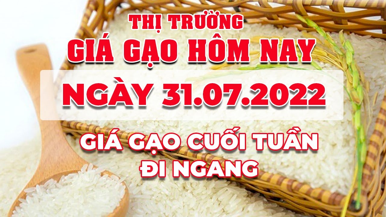 rice and paddy prices today