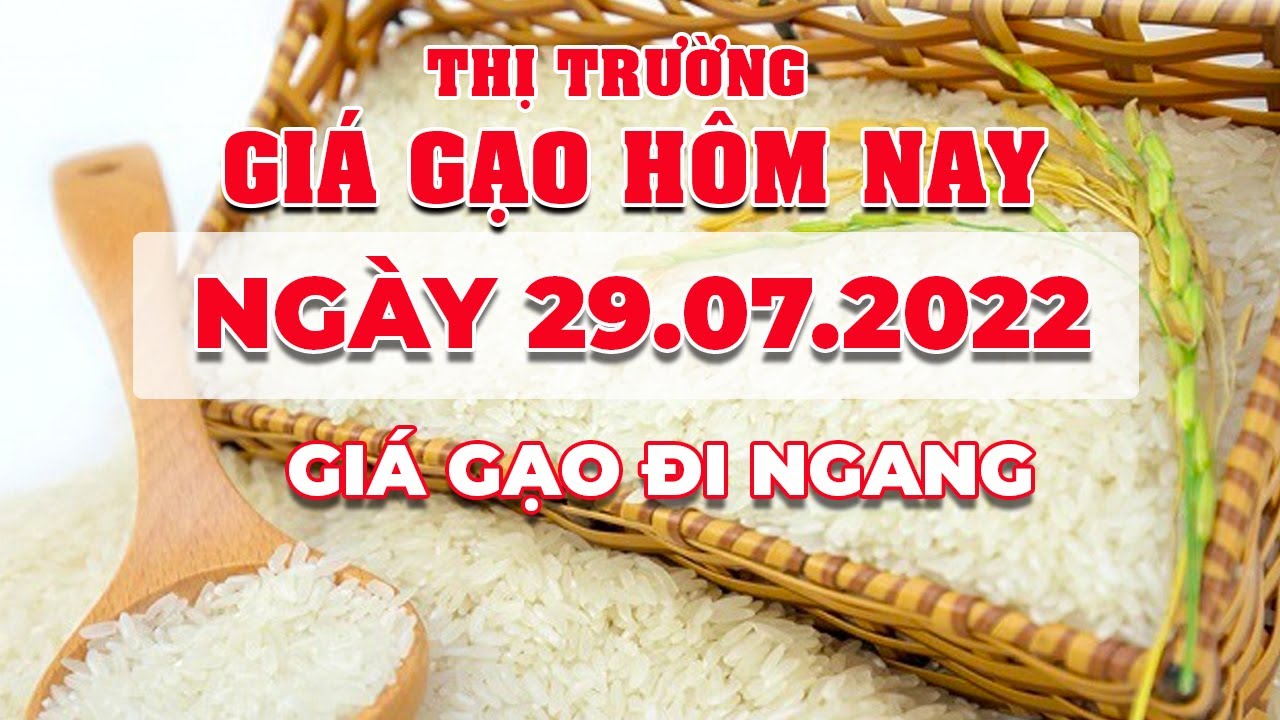 rice and paddy prices today