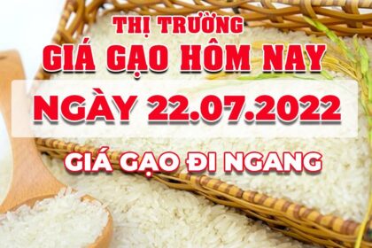 rice and paddy prices today