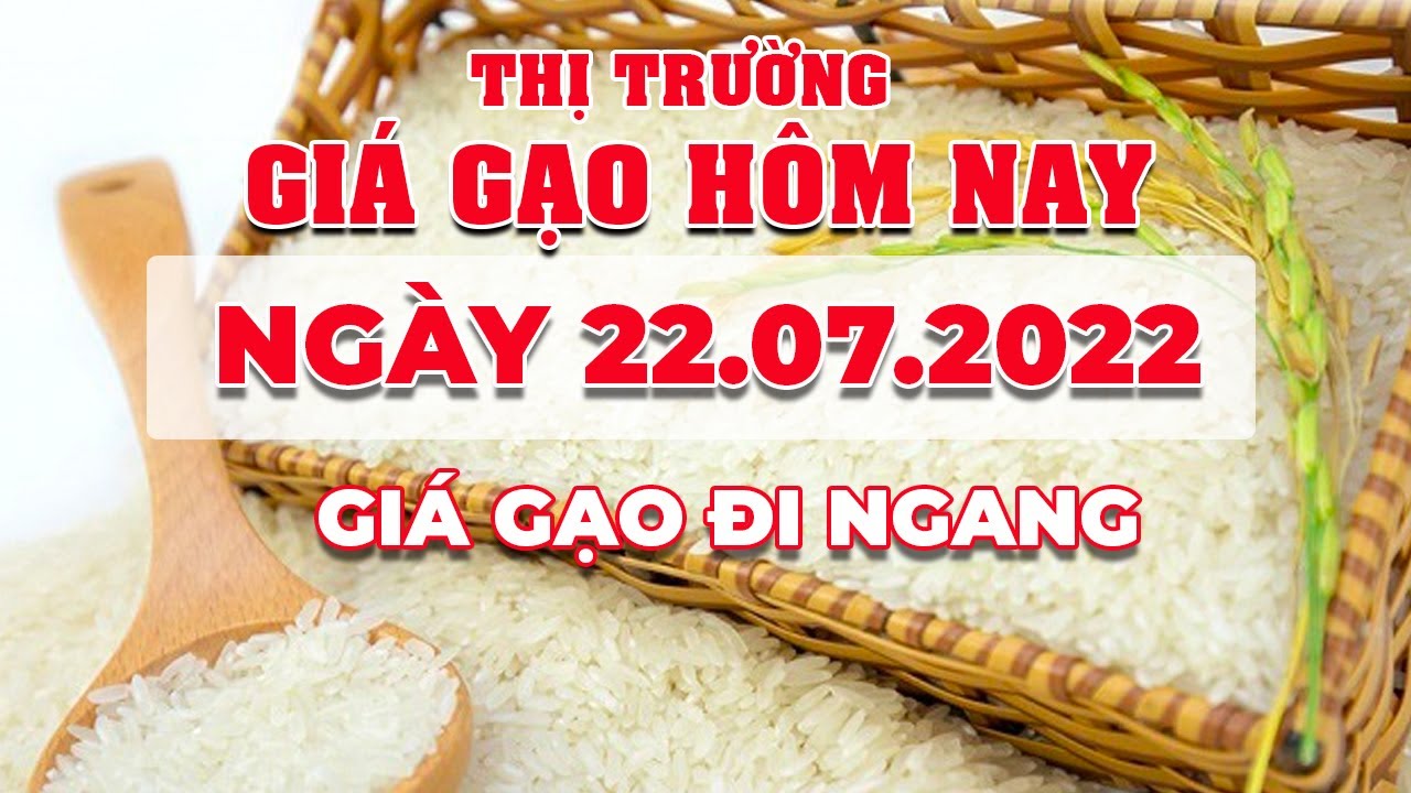 rice and paddy prices today