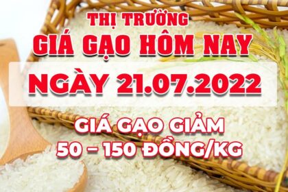 rice and paddy prices today