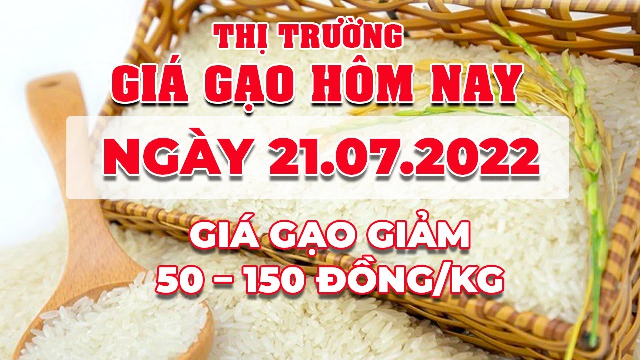 rice and paddy prices today