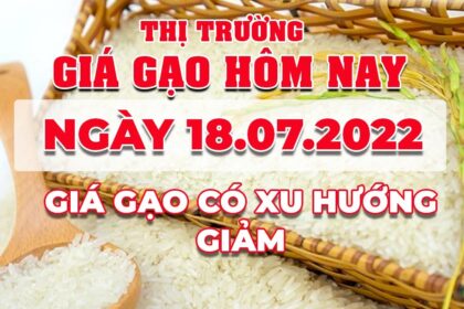 rice and paddy prices today