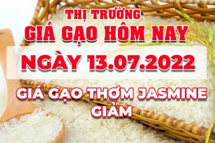 rice and paddy prices today