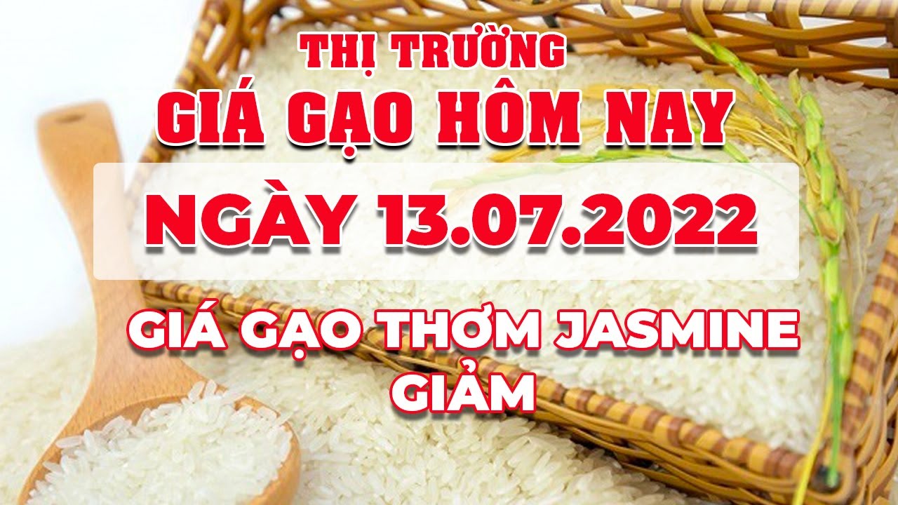 rice and paddy prices today