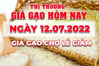 rice and paddy prices today