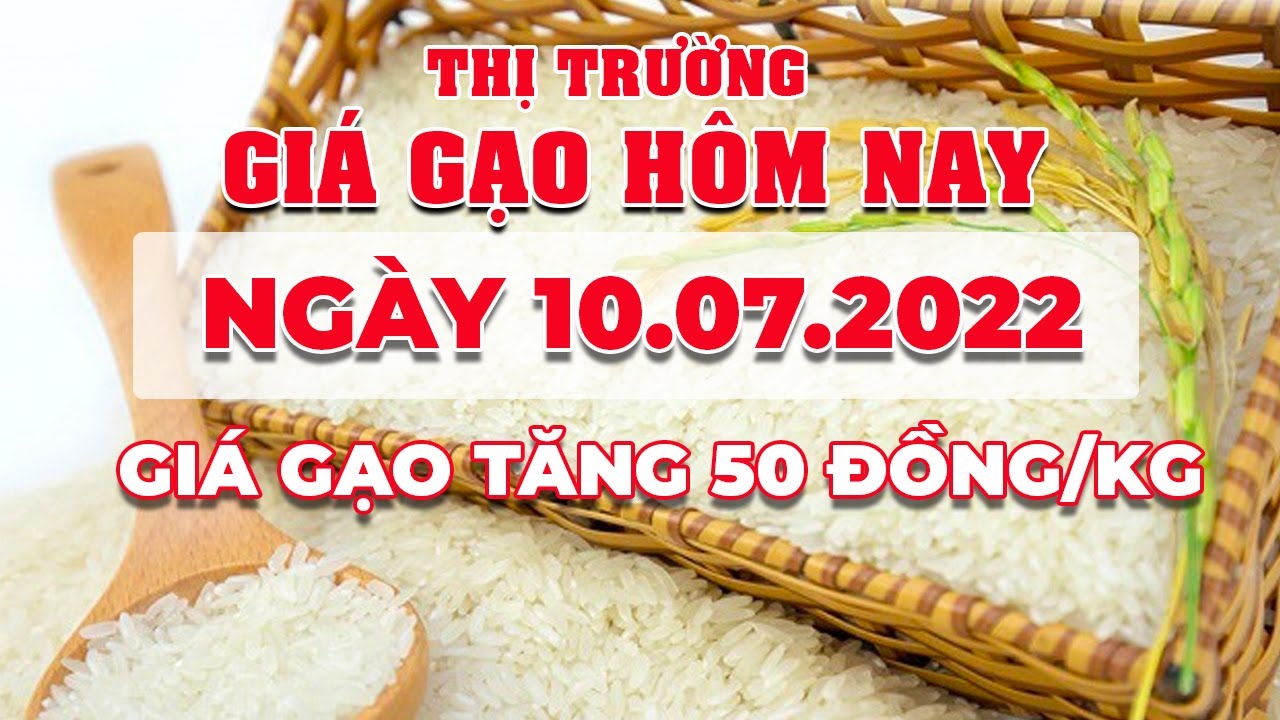 rice and paddy prices today