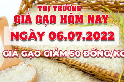 rice and paddy prices today