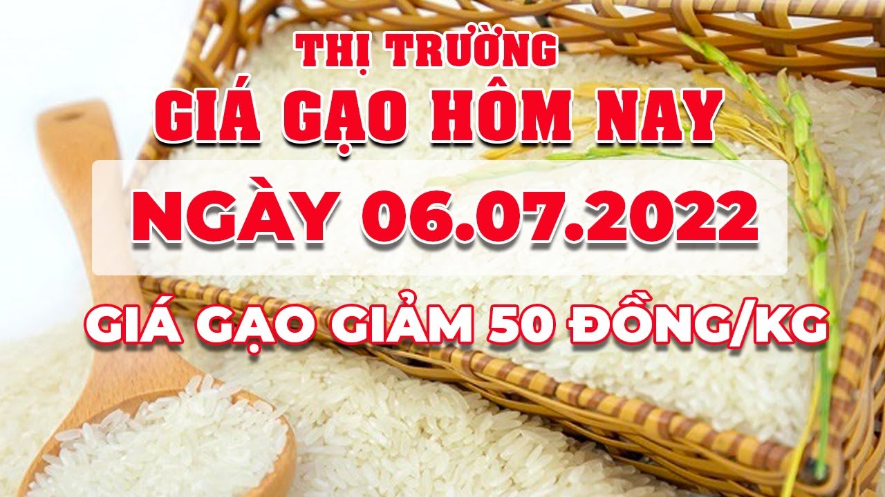 rice and paddy prices today