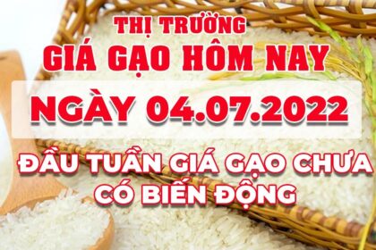 rice and paddy prices today