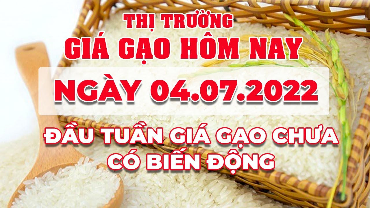 rice and paddy prices today
