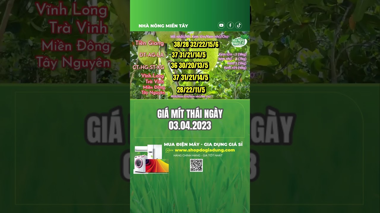 Vietnam Thai jackfruit prices April 3, 2023