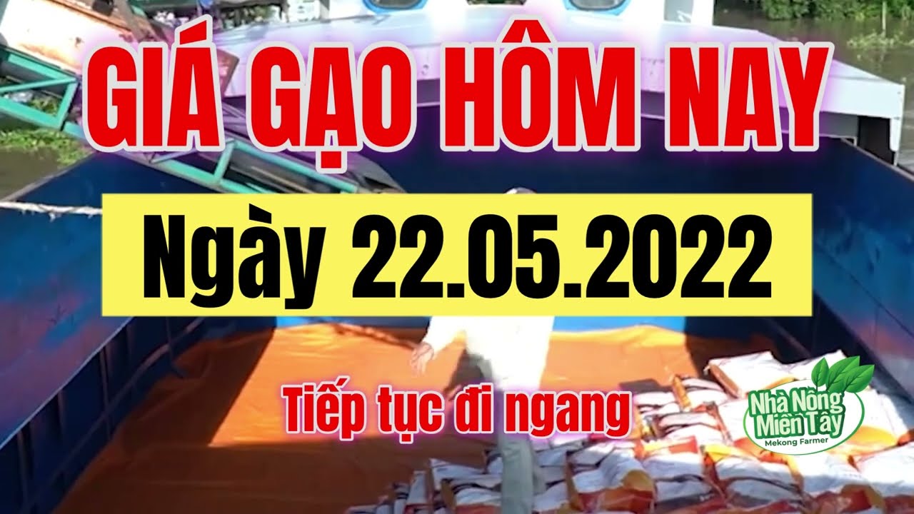 rice and paddy prices today
