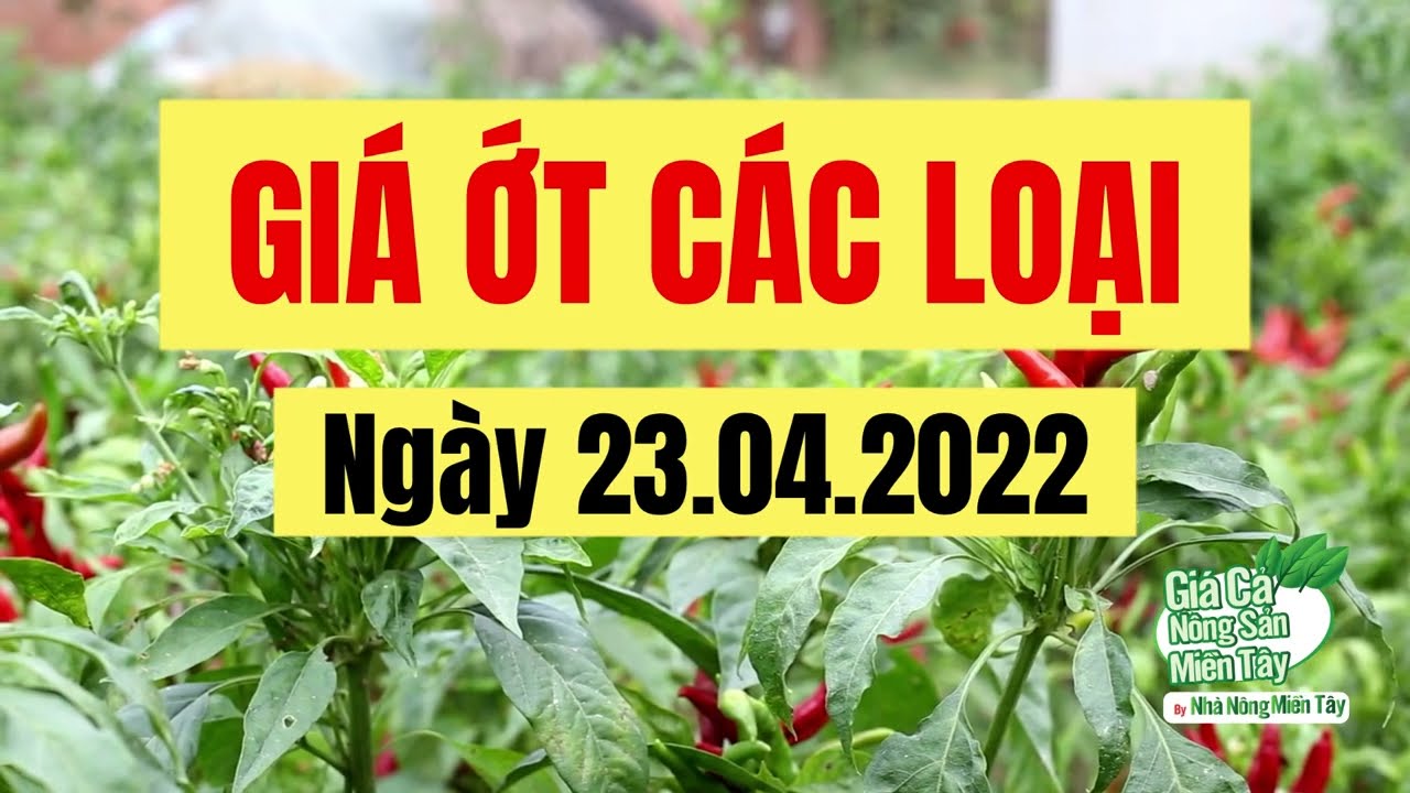chili prices April 23, 2022