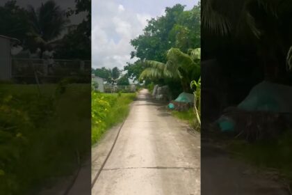 mekong delta