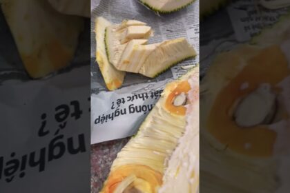 orange-fleshed jackfruit