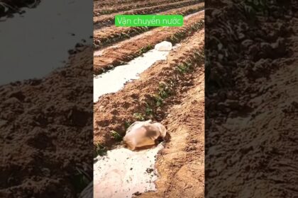 farm logistics