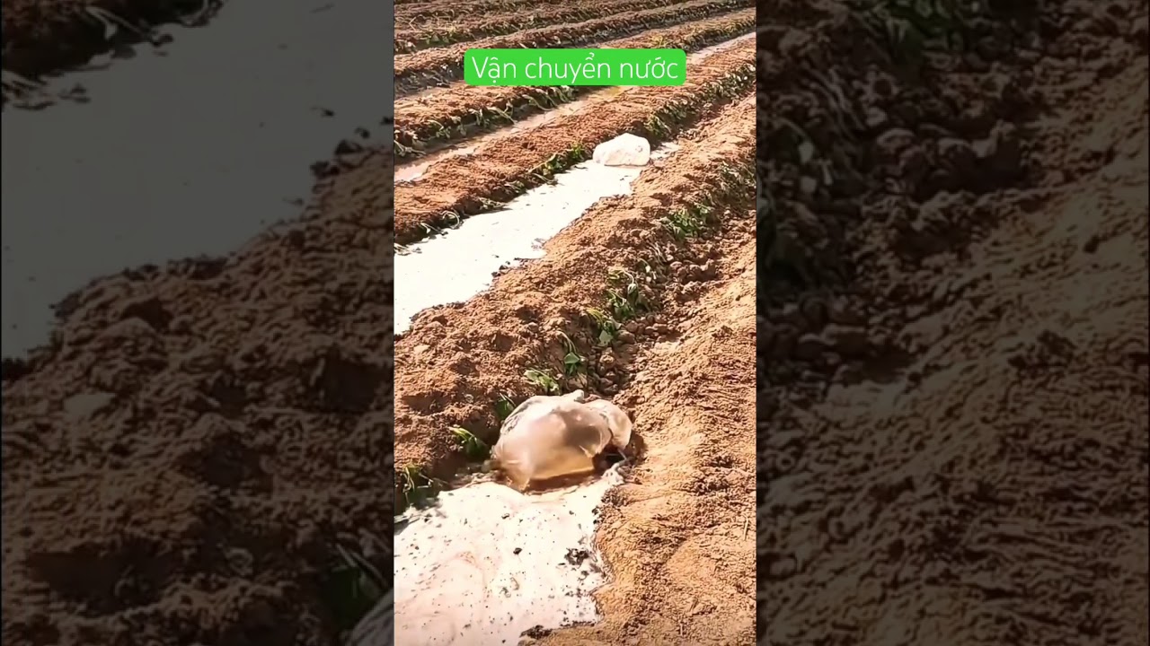 farm logistics