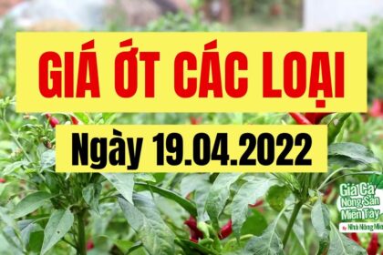 chili prices April 19, 2022