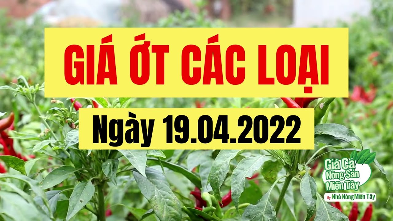 chili prices April 19, 2022