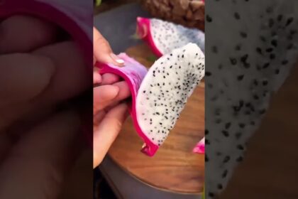 dragon fruit