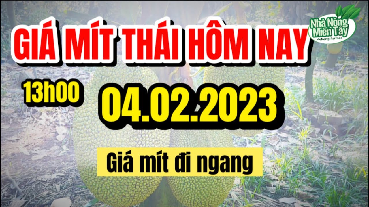 Thai jackfruit prices today