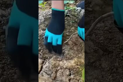 vietnam agriculture