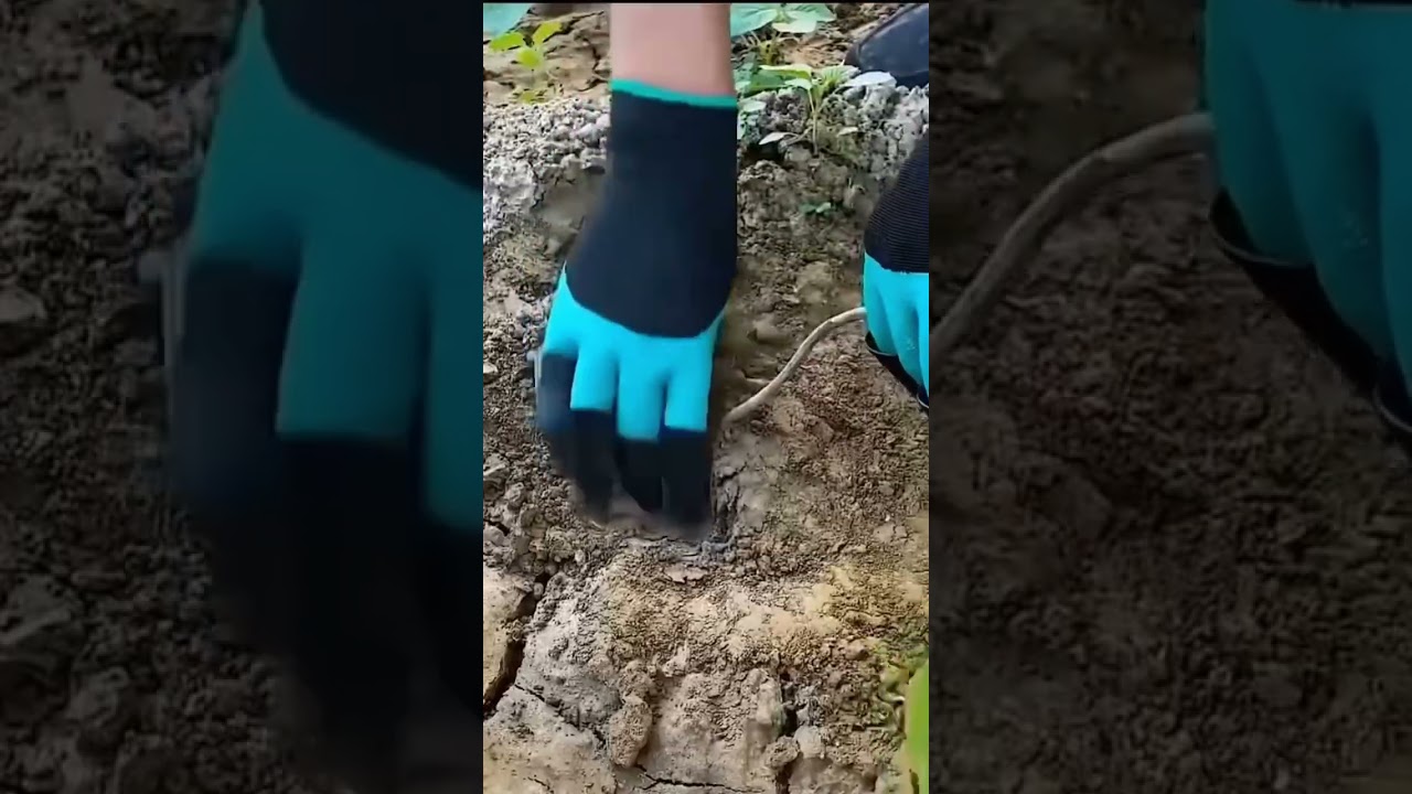 vietnam agriculture
