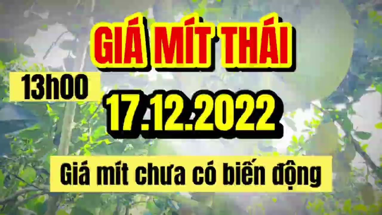 Thai jackfruit prices today