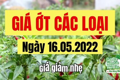 chili prices May 16, 2022