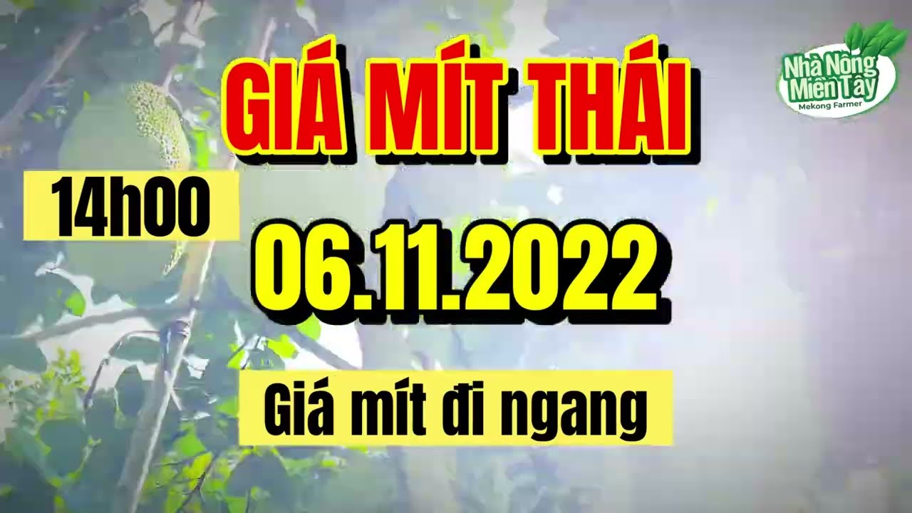 Thai jackfruit prices today