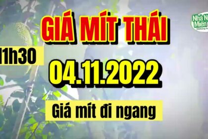 Thai jackfruit prices today