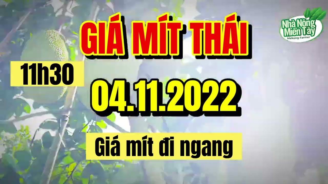 Thai jackfruit prices today