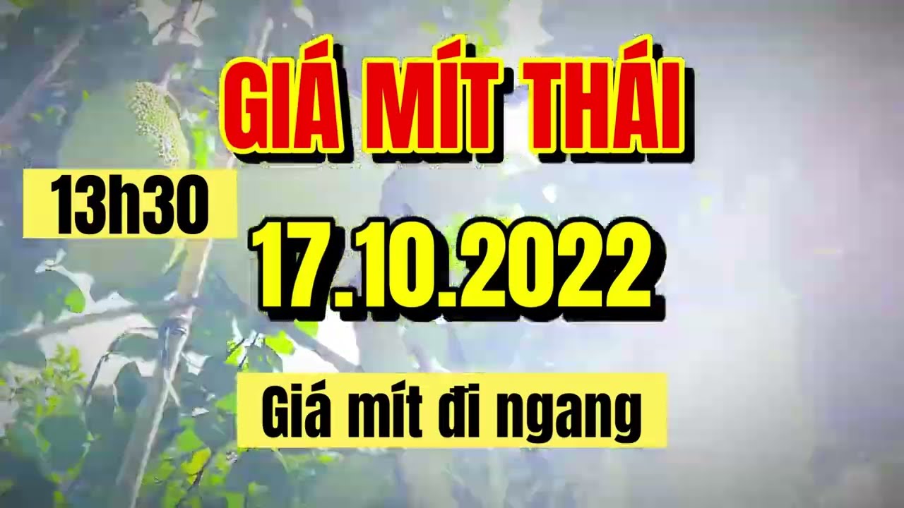 Thai jackfruit prices today