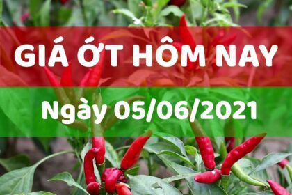 chili prices June 5, 2021