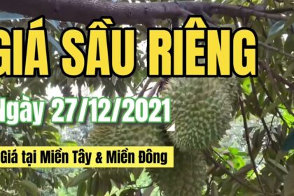 Vietnam durian prices December 27, 2021