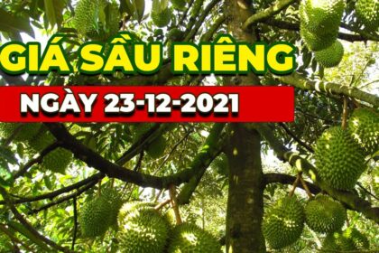 Vietnam durian prices December 23, 2021