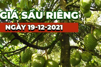 Vietnam durian prices December 19, 2021
