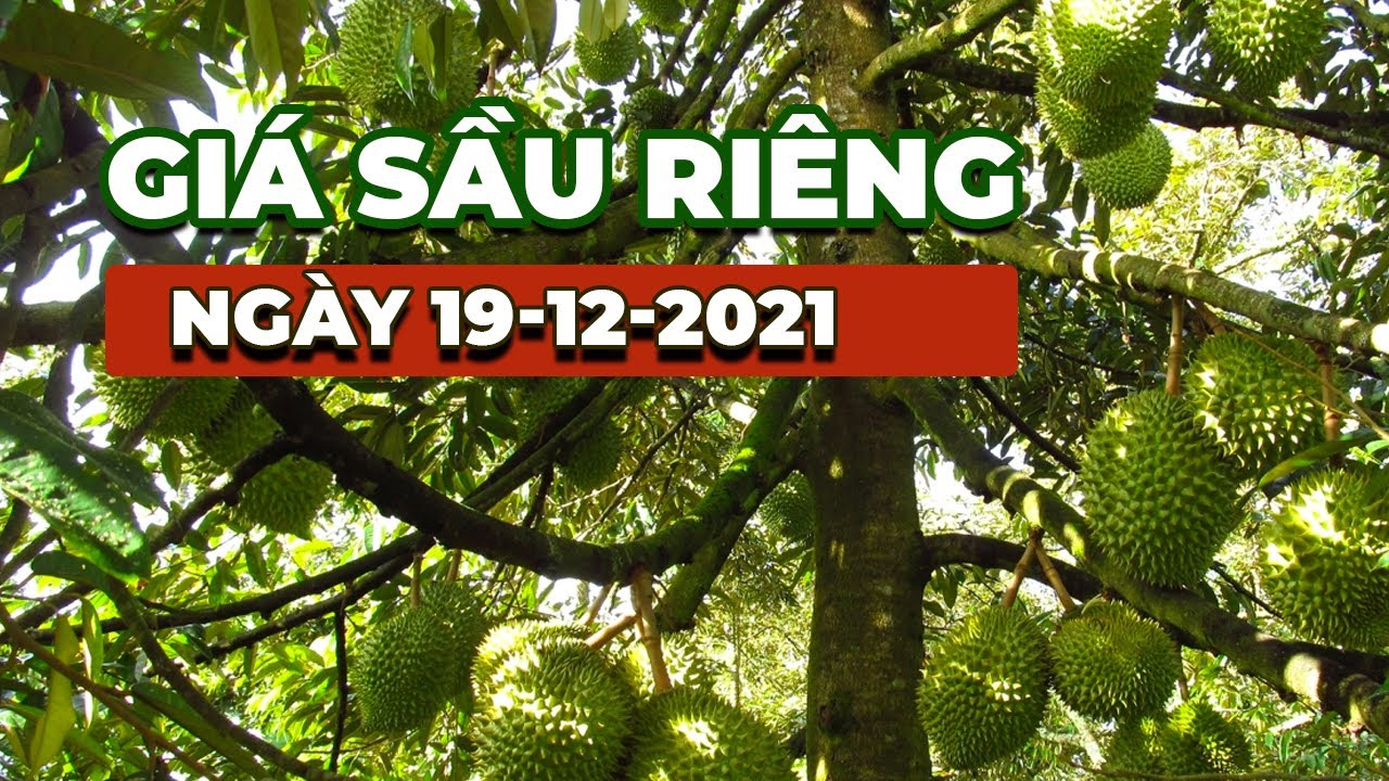 Vietnam durian prices December 19, 2021