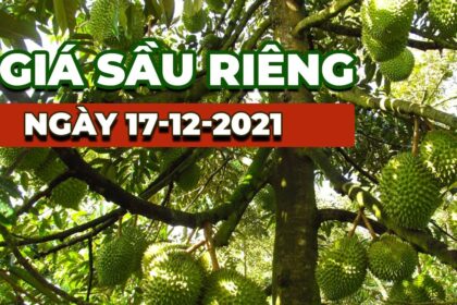 Vietnam durian prices December 17, 2021