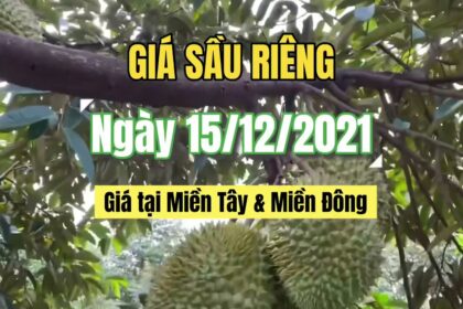 Vietnam durian prices December 15, 2021